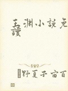 王渊小说免费阅读