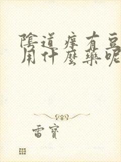 阴道痒有豆腐渣用什么药呢?