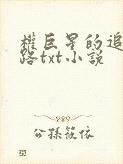 权巨星的追妻之路txt小说
