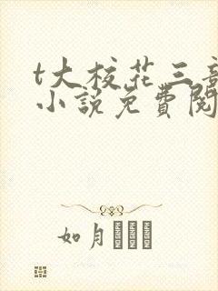 t大校花三部曲小说免费阅读全文封面