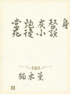 当炮灰替身的我死后小说