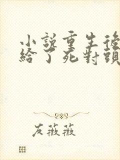 小说重生后我嫁给了死对头txt