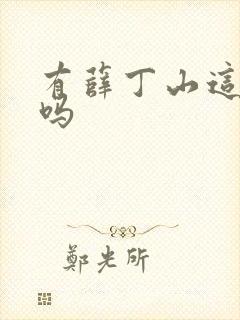 有薛丁山这个人吗