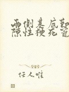 两侧基底节区腔隙性梗死灶