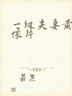 一级夫妻黄色录像片