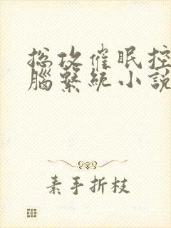 总攻催眠控制洗脑系统小说