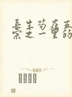 长生苟在五大仙宗之一里的小说封面