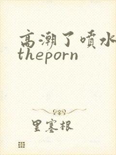 高潮了喷水好多theporn