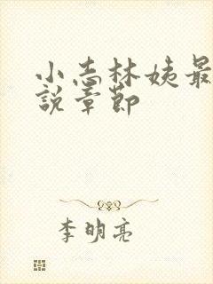 小志林姨最新小说章节