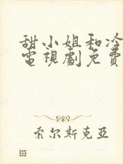 甜小姐和冷先生电视剧免费观看全集