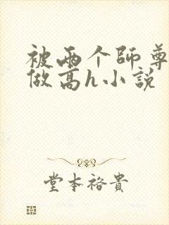 被两个师尊按着做高h小说封面