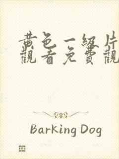 黄色一级片在线观看免费观看封面