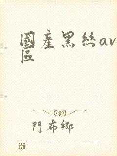 国产黑丝av一区