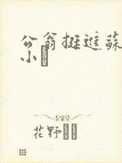 公翁挺进苏玥的小泬封面