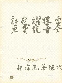 许我耀眼电视剧免费观看全集