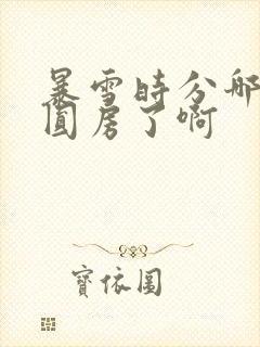 暴雪时分哪一集圆房了啊封面