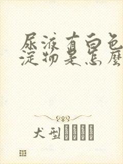 尿液有白色的沉淀物是怎么回事封面