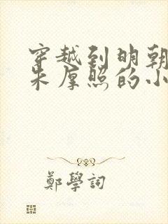 穿越到明朝辅佐朱厚照的小说