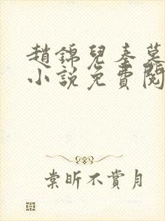 赵锦儿秦慕修的小说免费阅读全文