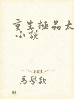 重生极品太子爷 小说