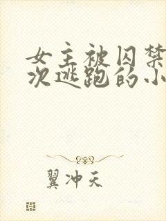 女主被囚禁并多次逃跑的小说