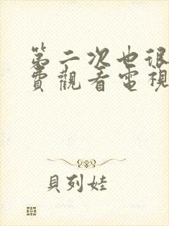 第二次也很美免费观看电视剧剧情封面