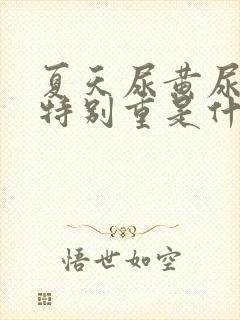 夏天尿黄尿骚味特别重是什么原因