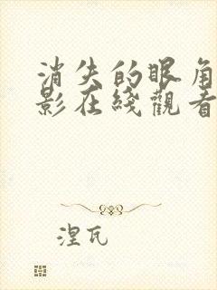 消失的眼角膜电影在线观看封面