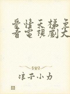 爱情天梯免费观看电视剧大结局封面