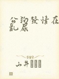 公狗发情在家里乱尿