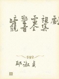 暗警电视剧免费观看全集