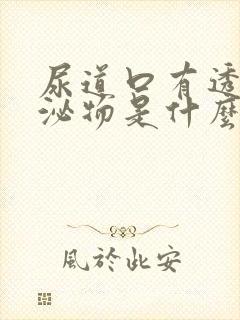 尿道口有透明分泌物是什么原因