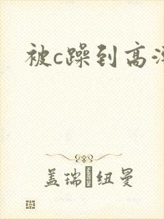 被c躁到高潮封面