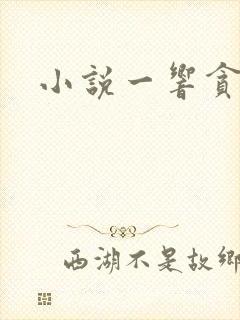 小说一响贪欢