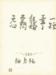 免费观看一不小心闪婚了短剧