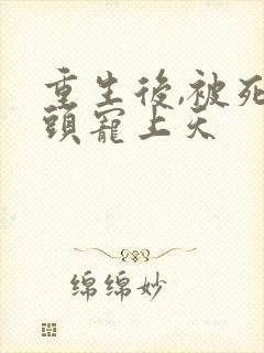 重生后,被死对头宠上天