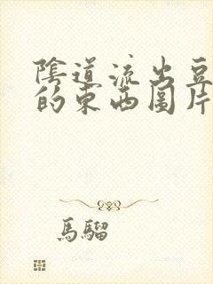 阴道流出豆腐渣的东西图片