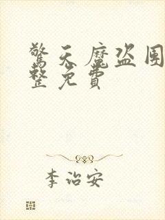 惊天魔盗团1完整免费封面