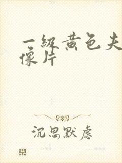 一级黄色夫妻录像片封面