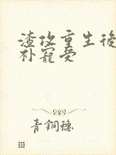 渣攻重生后悔弥补宠受