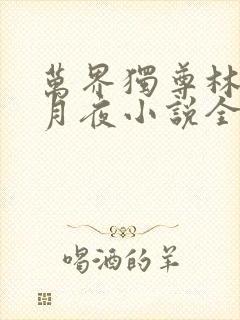 万界独尊林枫妖月夜小说全文免费阅读封面