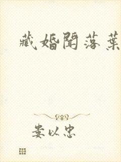 藏婚闻落叶小说