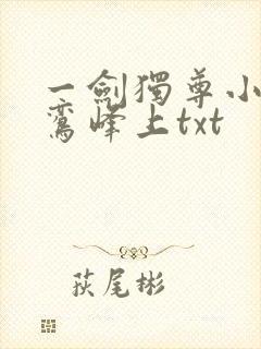 一剑独尊小说青鸾峰上txt