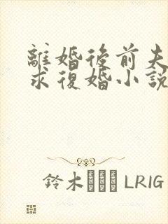 离婚后前夫哭着求复婚小说完整版大结局