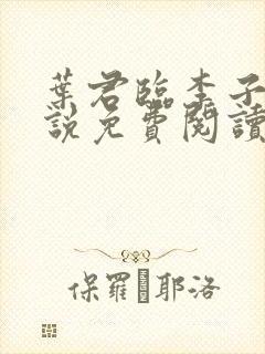 叶君临李子柒小说免费阅读