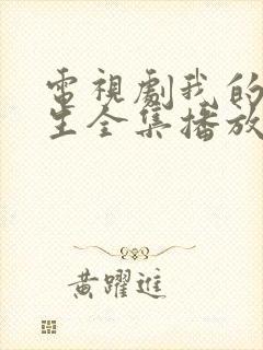 电视剧我的后半生全集播放封面