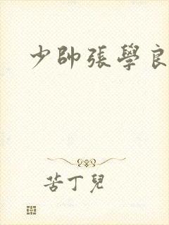 少帅张学良老蒋封面