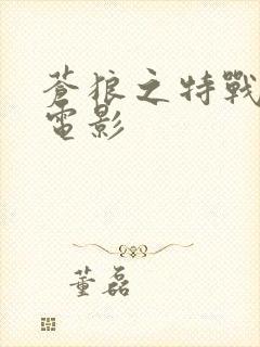 苍狼之特战突击电影