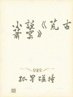小说《荒古武神萧云》