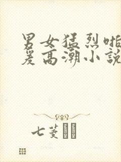 男女猛烈啪啪做爰高潮小说